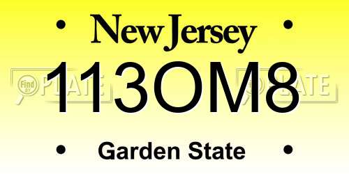 113OM8 New Jersey License Plate