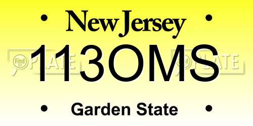 113OMS New Jersey License Plate