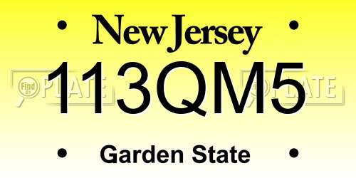 113QM5 New Jersey License Plate