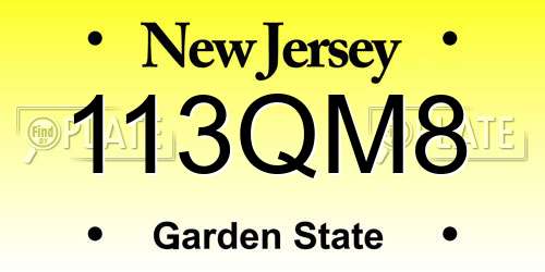 113QM8 New Jersey License Plate