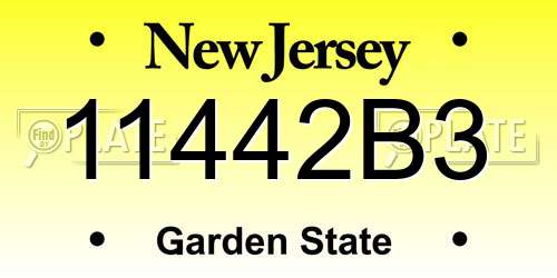 11442B3 New Jersey License Plate