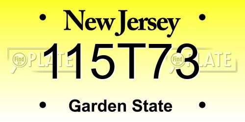 115T73 New Jersey License Plate