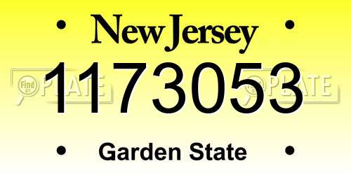 1173053 New Jersey License Plate