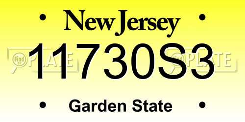 11730S3 New Jersey License Plate