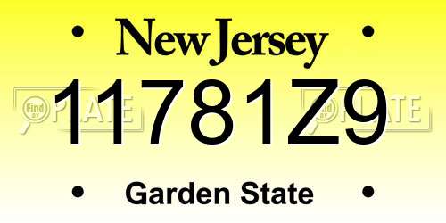 11781Z9 New Jersey License Plate