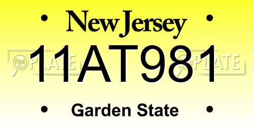 11AT981 New Jersey License Plate