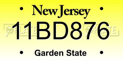 11BD876 New Jersey License Plate