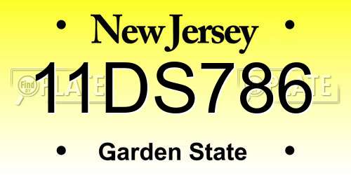 11DS786 New Jersey License Plate