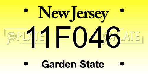 11F046 New Jersey License Plate