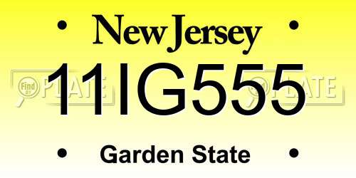 11IG555 New Jersey License Plate