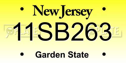 11SB263 New Jersey License Plate