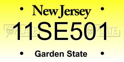 11SE501 New Jersey License Plate