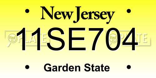 11SE704 New Jersey License Plate
