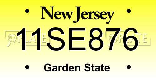 11SE876 New Jersey License Plate
