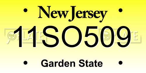 11SO509 New Jersey License Plate