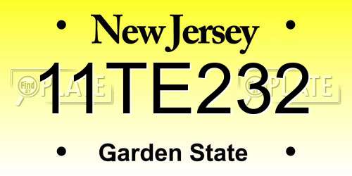 11TE232 New Jersey License Plate