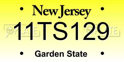 11TS129 New Jersey License Plate