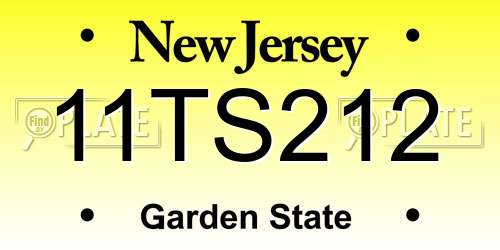 11TS212 New Jersey License Plate