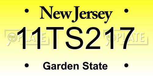 11TS217 New Jersey License Plate