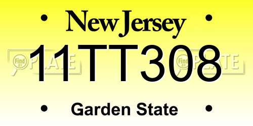 11TT308 New Jersey License Plate