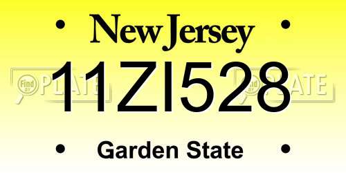 11ZI528 New Jersey License Plate
