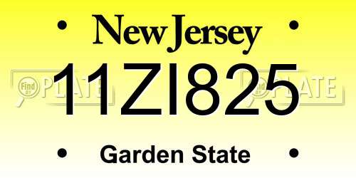 11ZI825 New Jersey License Plate