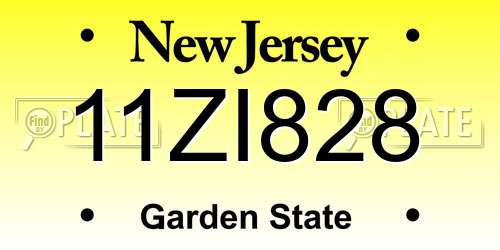 11ZI828 New Jersey License Plate
