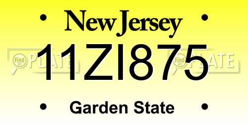 11ZI875 New Jersey License Plate