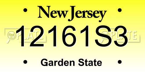 12161S3 New Jersey License Plate