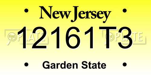 12161T3 New Jersey License Plate