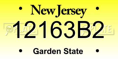 12163B2 New Jersey License Plate