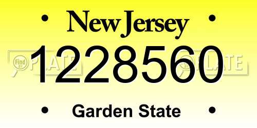 1228560 New Jersey License Plate