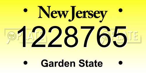 1228765 New Jersey License Plate