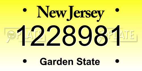1228981 New Jersey License Plate