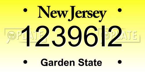 12396I2 New Jersey License Plate