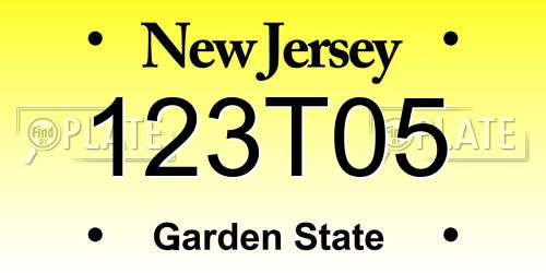 123T05 New Jersey License Plate