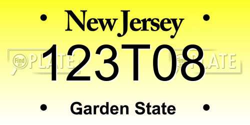 123T08 New Jersey License Plate
