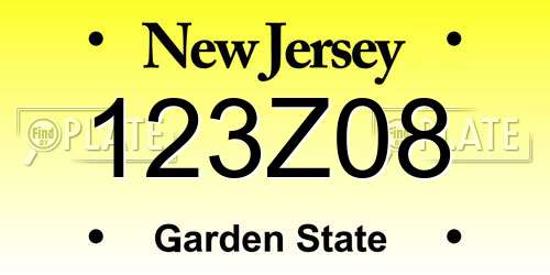 123Z08 New Jersey License Plate