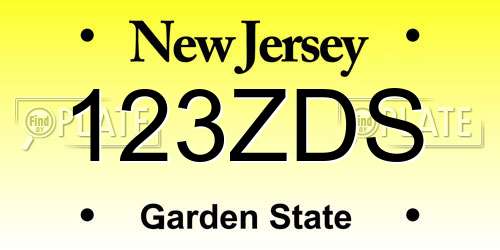 123ZDS New Jersey License Plate