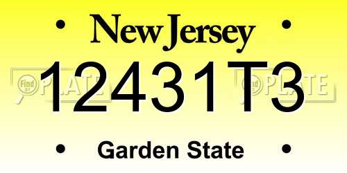 12431T3 New Jersey License Plate