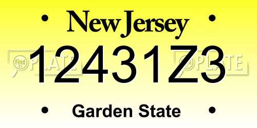 12431Z3 New Jersey License Plate