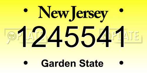 1245541 New Jersey License Plate