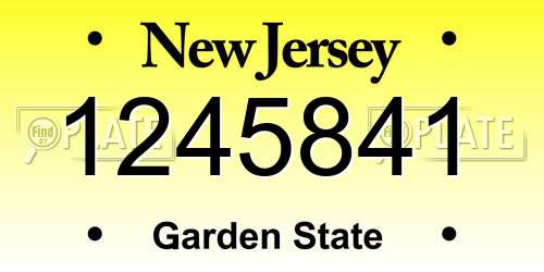 1245841 New Jersey License Plate