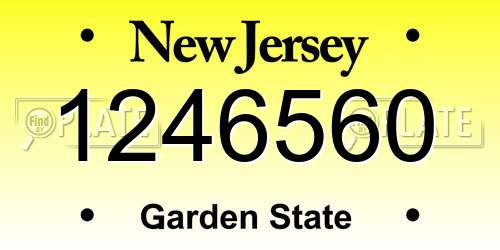 1246560 New Jersey License Plate
