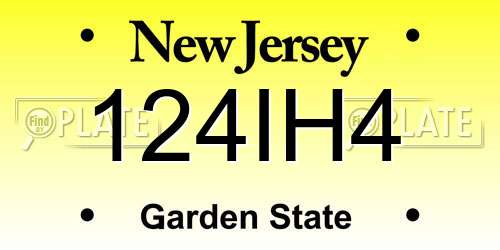 124IH4 New Jersey License Plate