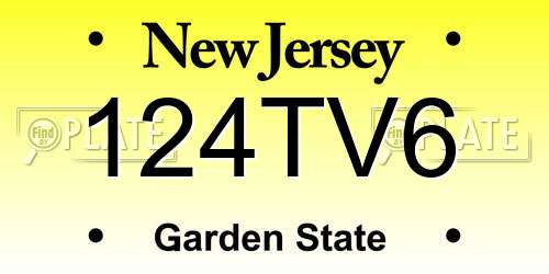 124TV6 New Jersey License Plate