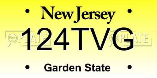 124TVG New Jersey License Plate