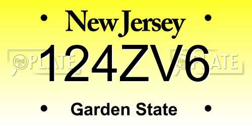 124ZV6 New Jersey License Plate