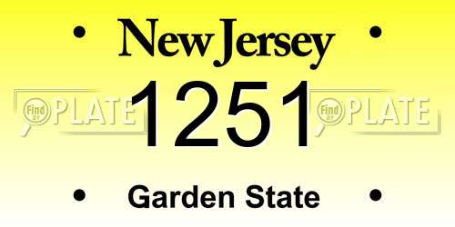 1251 New Jersey License Plate