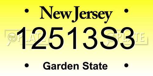 12513S3 New Jersey License Plate